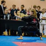 Championship Martial Arts Student performing their form.