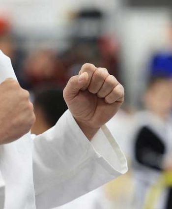 Branson West Taekwondo