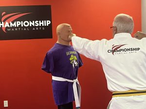 Adult Championship Martial Arts student punching Bob